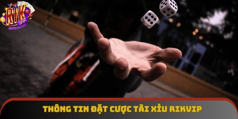 Thông tin cơ bản về bộ môn đặt cược tài xỉu tại Rikvip Thông tin cơ bản về bộ môn đặt cược tài xỉu tại Rikvip