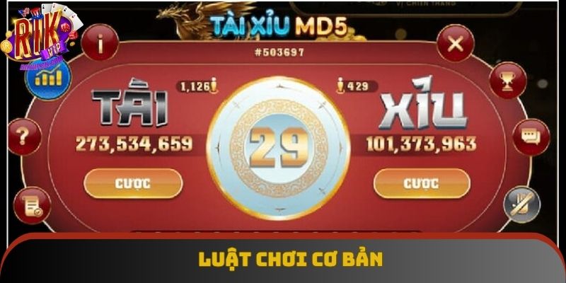 Cách chơi đơn giản, dễ hiểu cho người mới tham gia